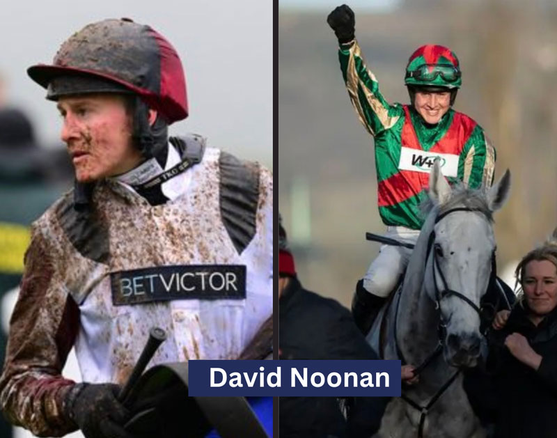 David-Noonan