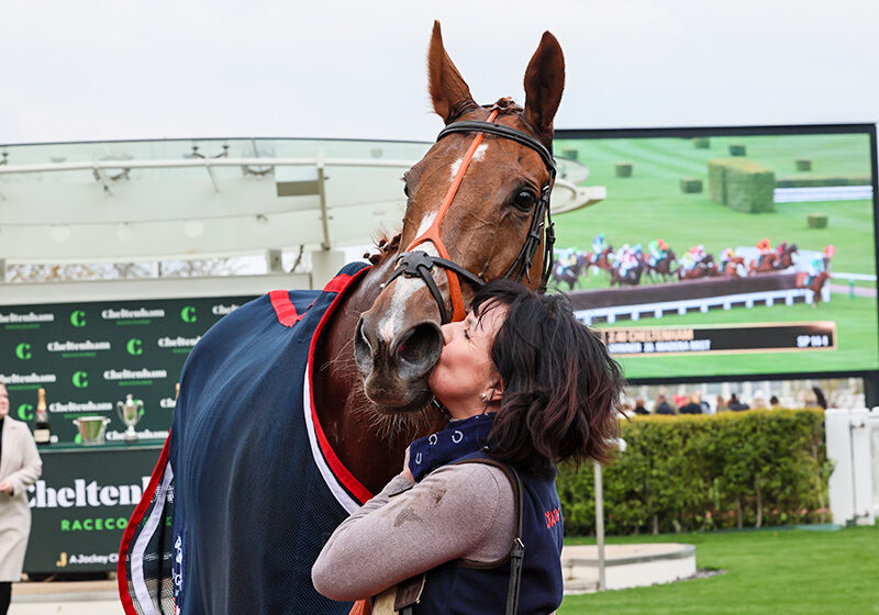 MADERA MIST ridden by Alan Johns wins at CHELTENHAM 19/4/23
Photograph by Grossick Racing Photography 0771 046 1723